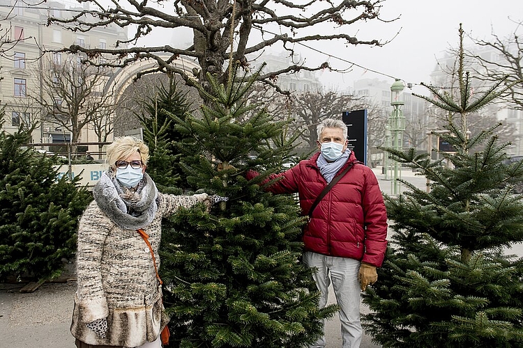 Beatrice und Ruedi Haller sind gerade in eine neue Wohnung gezogen und sind sich noch nicht schlüssig, ob der Baum in der Wohnküche stehen wird.