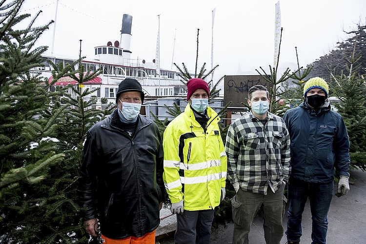 «Bäume bis 2,5 Meter verkaufen sich am besten», erklären Beni Schaller, David Emmenegger, Patrick Steffen und Peter Fleischlin (von links).