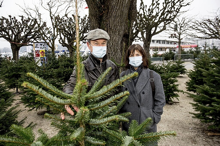 «Der Baum hat uns gefunden», meinen Christoph und Ursula Schoch zu ihrem Christbaum.