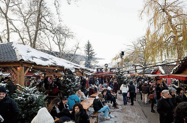 Rudolfs Weihnacht verwandelt den Luzerner Inseli-Park auch 2023 in einen Ort der vorweihnächtlichen Stimmung.