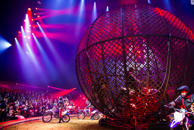 Ungewohntes Bild in der Manege: Mit bis zu 70 Stundenkilometern jagen die acht Kolumbianer und die zwei Argentinier auf ihren Maschinen durch eine 6 Meter Durchmesser umfassende Stahlkugel. Bild: Circus Knie