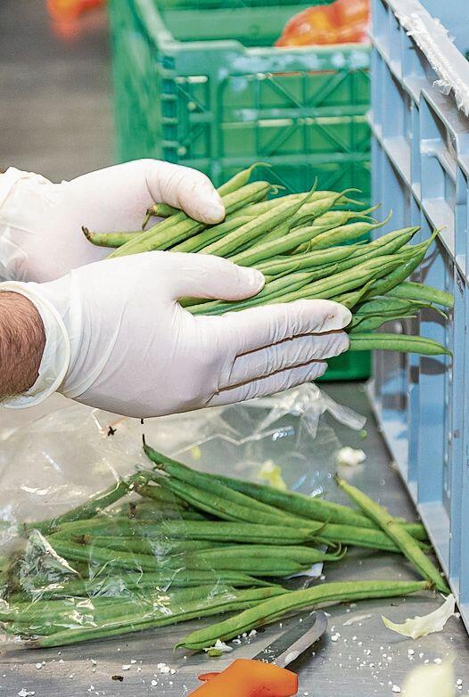 Rüsten und sortieren: Gearbeitet wird in Zwei-Stunden-Schichten.Foto: Romi Schmid