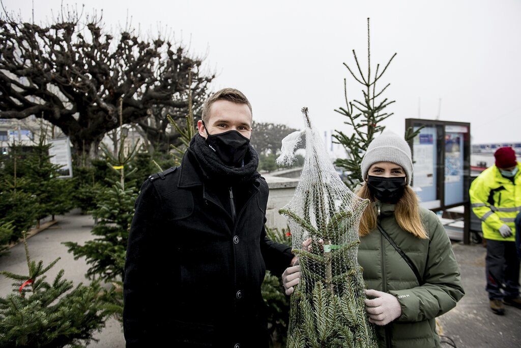 Der Baum von Christian Lindegger und Lou Elin Kraushaar soll nicht zu gross sein. Sie hoffen, dass so ihre Katze nicht an den Stamm herankommt und hinaufklettert.